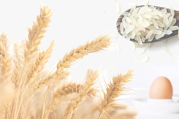 横須賀シフォンのこだわり