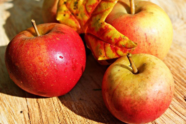 アップルシフォン 甘すぎない、爽やかな香りのりんご。横須賀シフォン