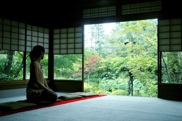 抹茶大納言シフォン